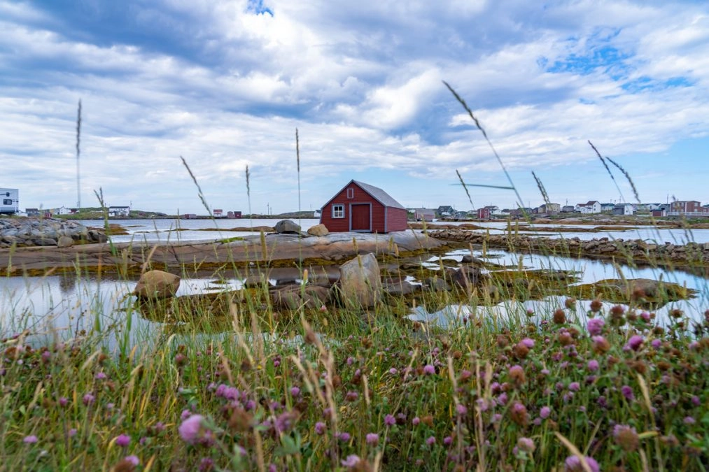 small house in fogo island newfoundland