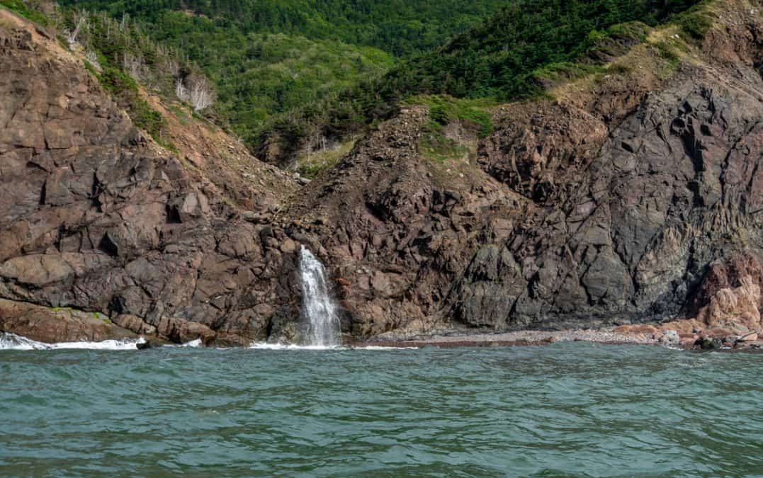 boat tour in cape breton