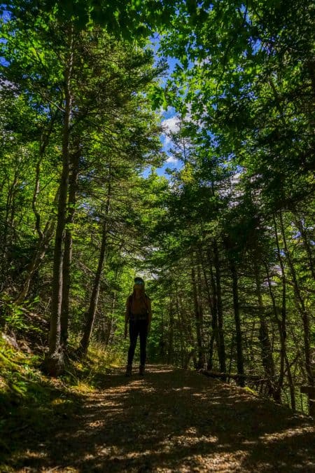 forest hiking trail cape breton