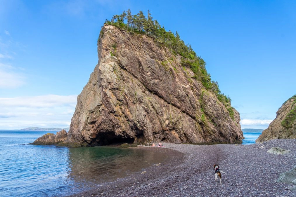 cliffs in chance cove newfoundland