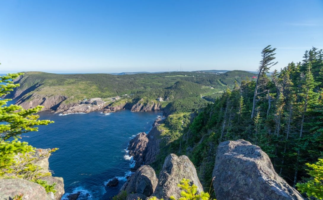 atlantic ocean and sea cliffs in cobblers path hiking trails st. john's nl