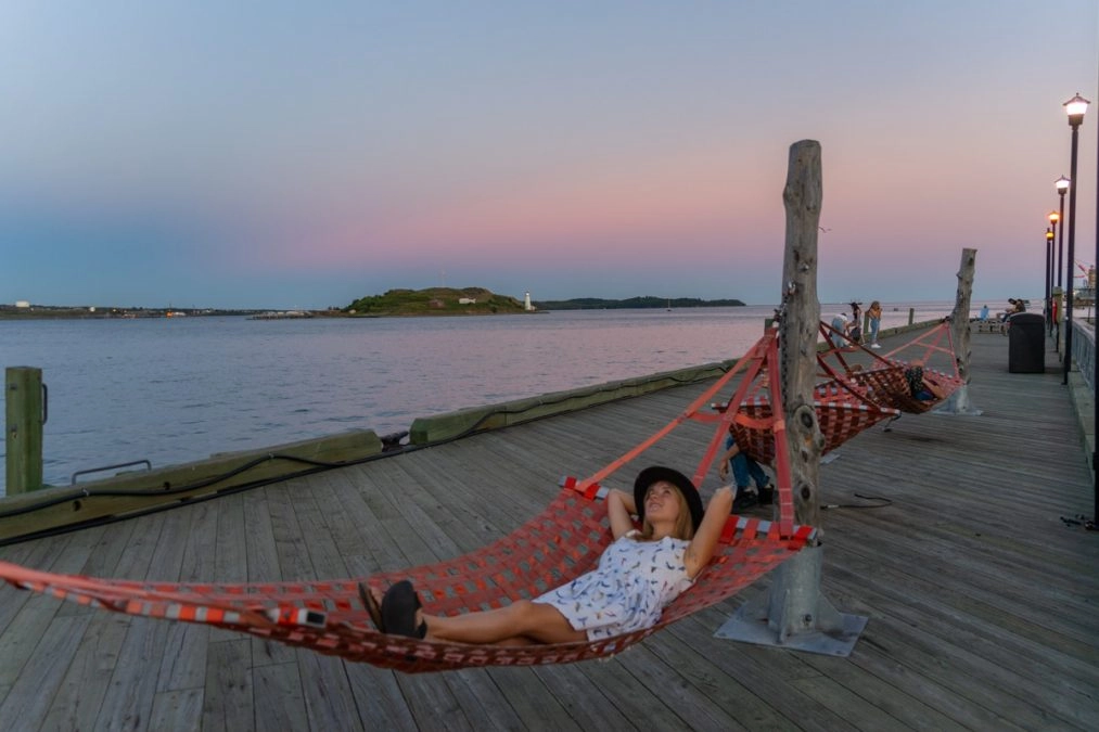 hammocks in downtown halifax