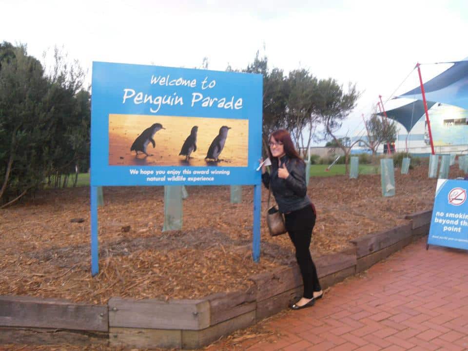 penguin parade australia