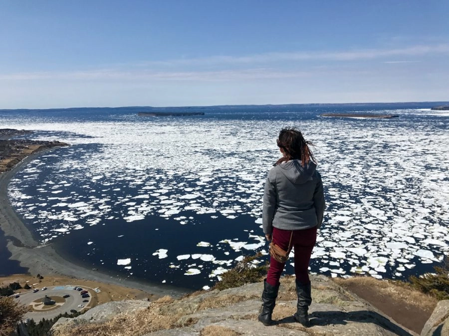 lora overlooking the atlantic ocean filled with ice at the top of topsail beach bluff 