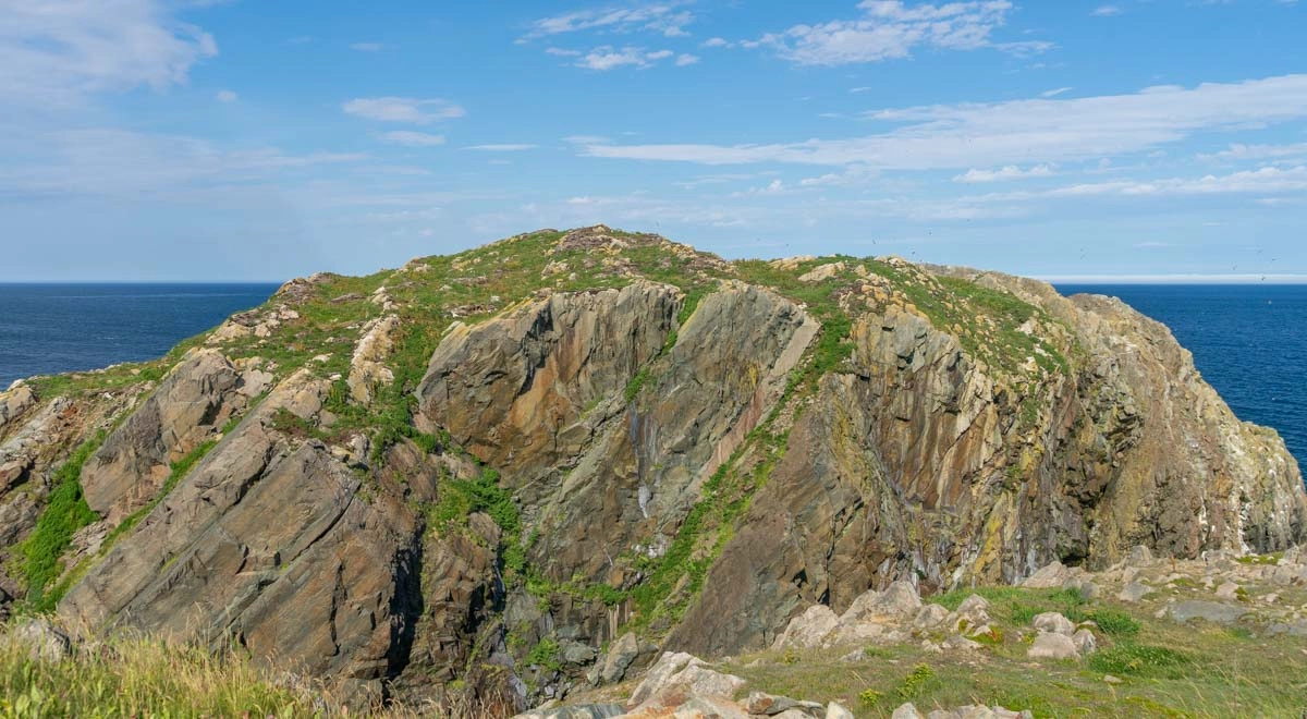 cliffs by the atlantic ocean in bonavista