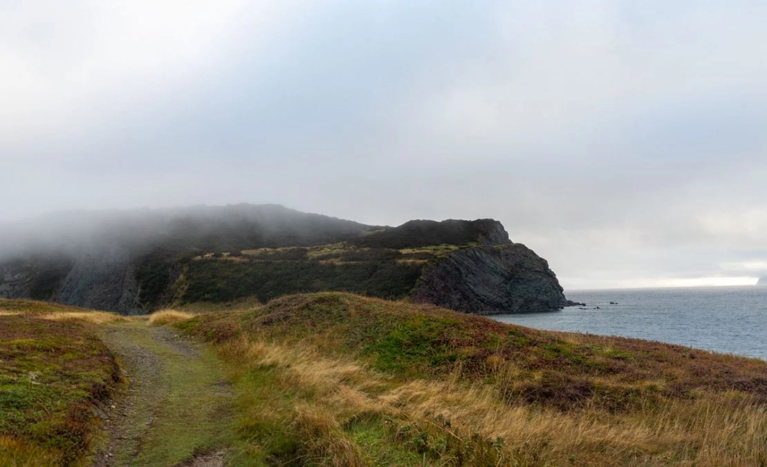 hiking path on the discovery trail newfoundland. you can see fog rolling over the hills in the background.