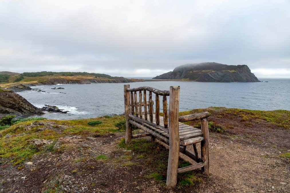wooden bench overlooking atlantic ocean discovery trail newfoundland