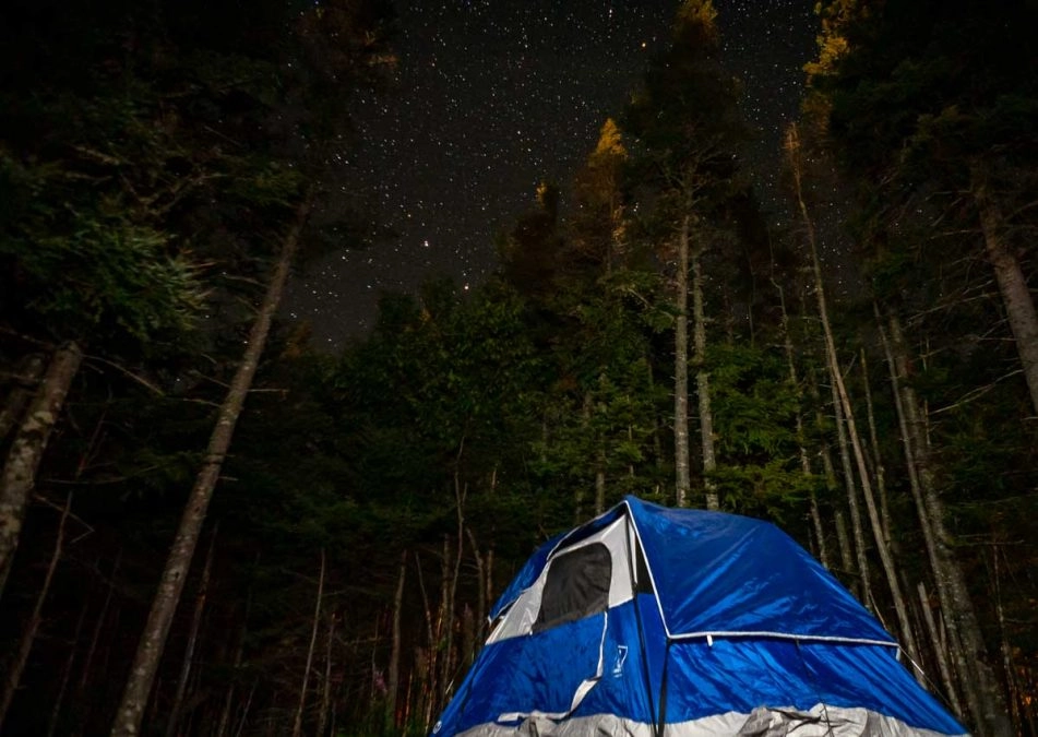 camping tent at night with stars above the trees at gros morne national park