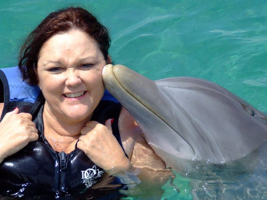 women swimming with captive dolphins