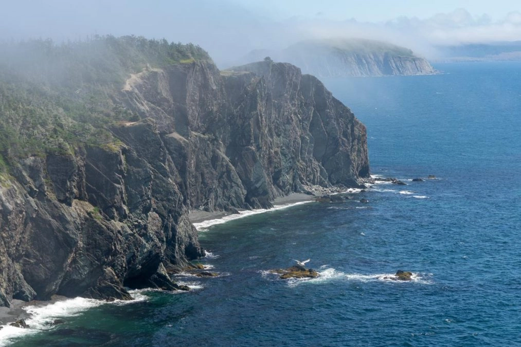 view of cliffs and ocean on the Skerwink Trail newfoundland