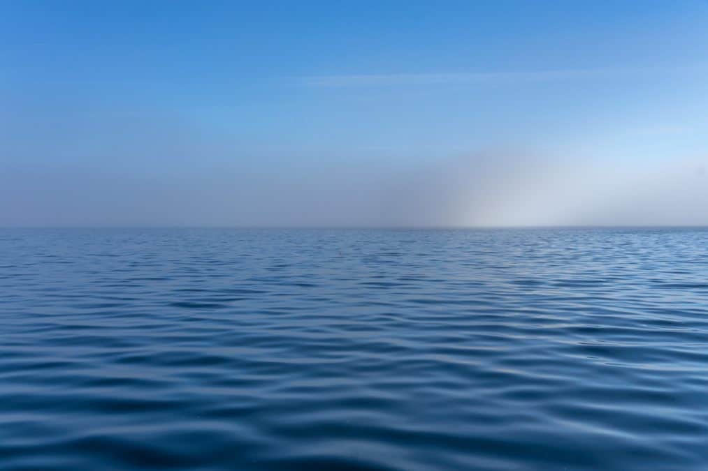 fog over the atlantic ocean in trinity newfoundland