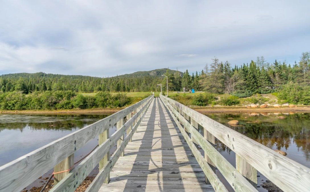 hiking in terra nova national park