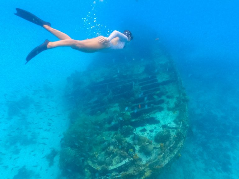 girl snorkeling in barbados with shipwreck