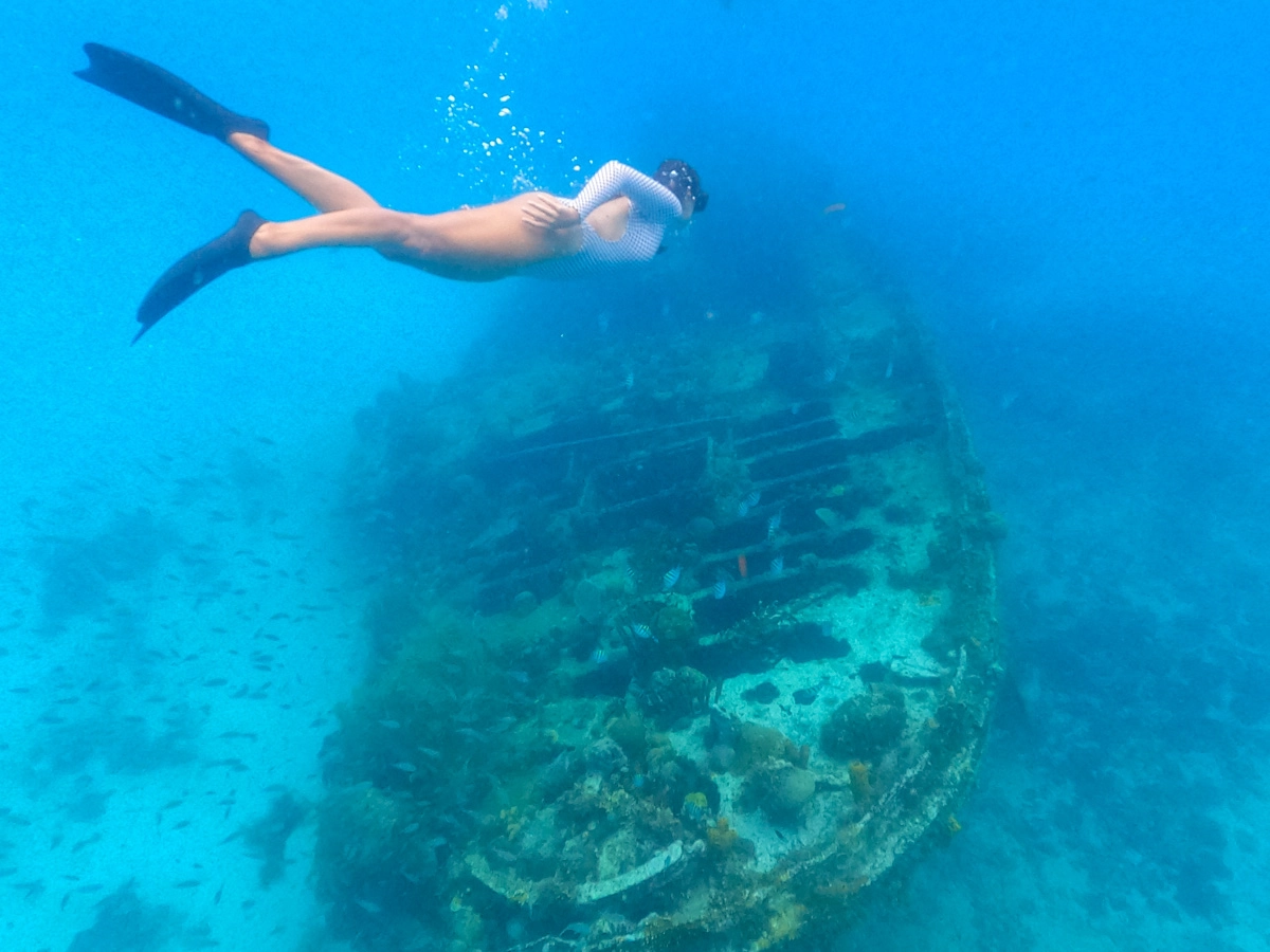 girl snorkeling in barbados with shipwreck