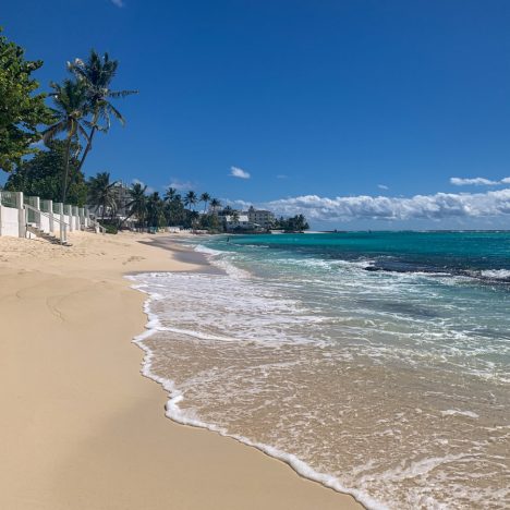 Snorkeling in Barbados | Best Beaches to Snorkel in Barbados