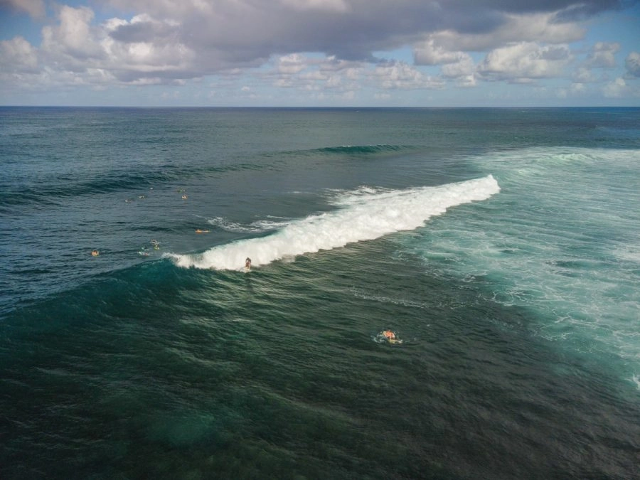 surfing in barbados