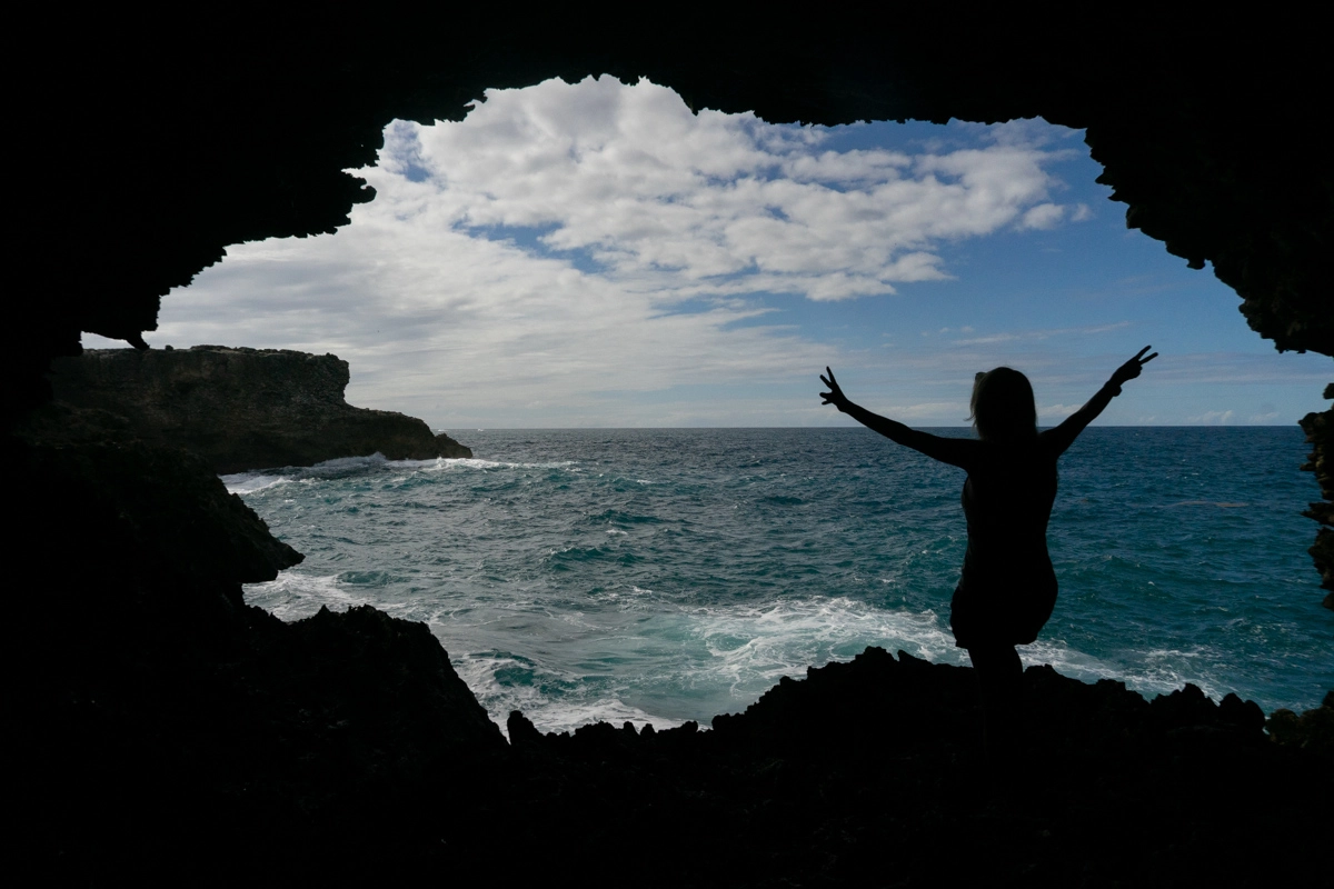 animal flower cave