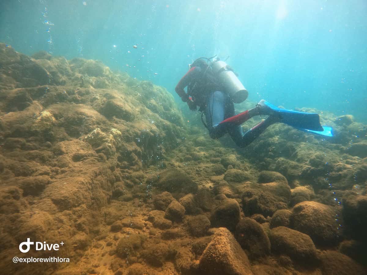 a diver in champagne beach dominica. water is bubbling up from the volcanic vents on the floor.