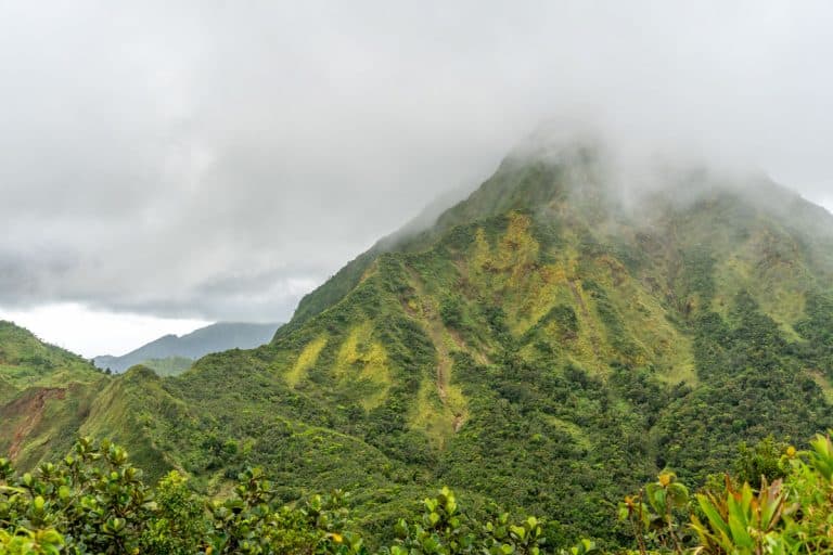 18 Stunning Hikes in Dominica To Get in Touch With Nature