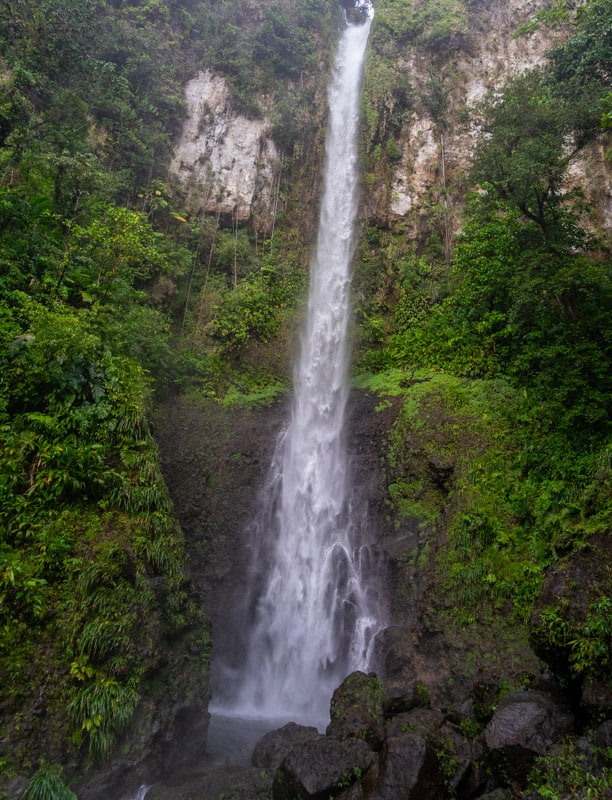 powerful middleham falls waterfall dominica pours down in the middle of the jungle