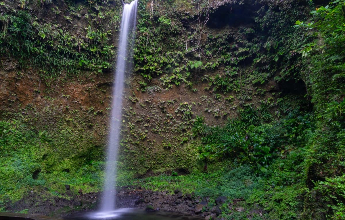 spanny waterfall with lush green vegetation in back in dominica