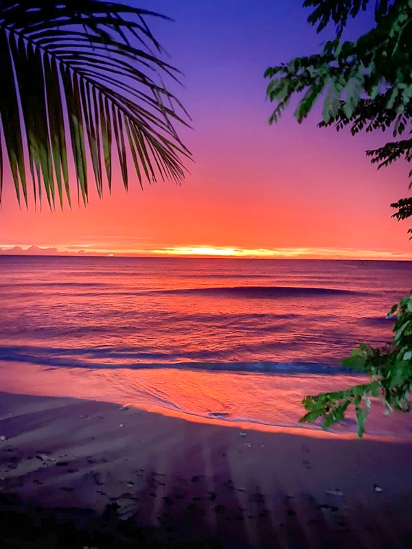 sunset in barbados