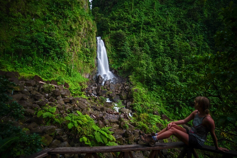 lora sitting on wooden platform facing trafalgar falls with lush green vegetation around in dominica