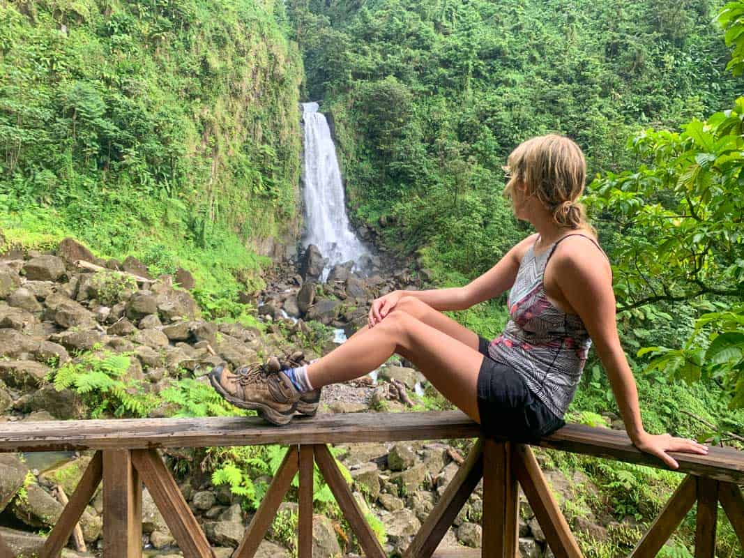 lora sitting on wooden platform facing trafalgar falls with lush green vegetation around in dominica