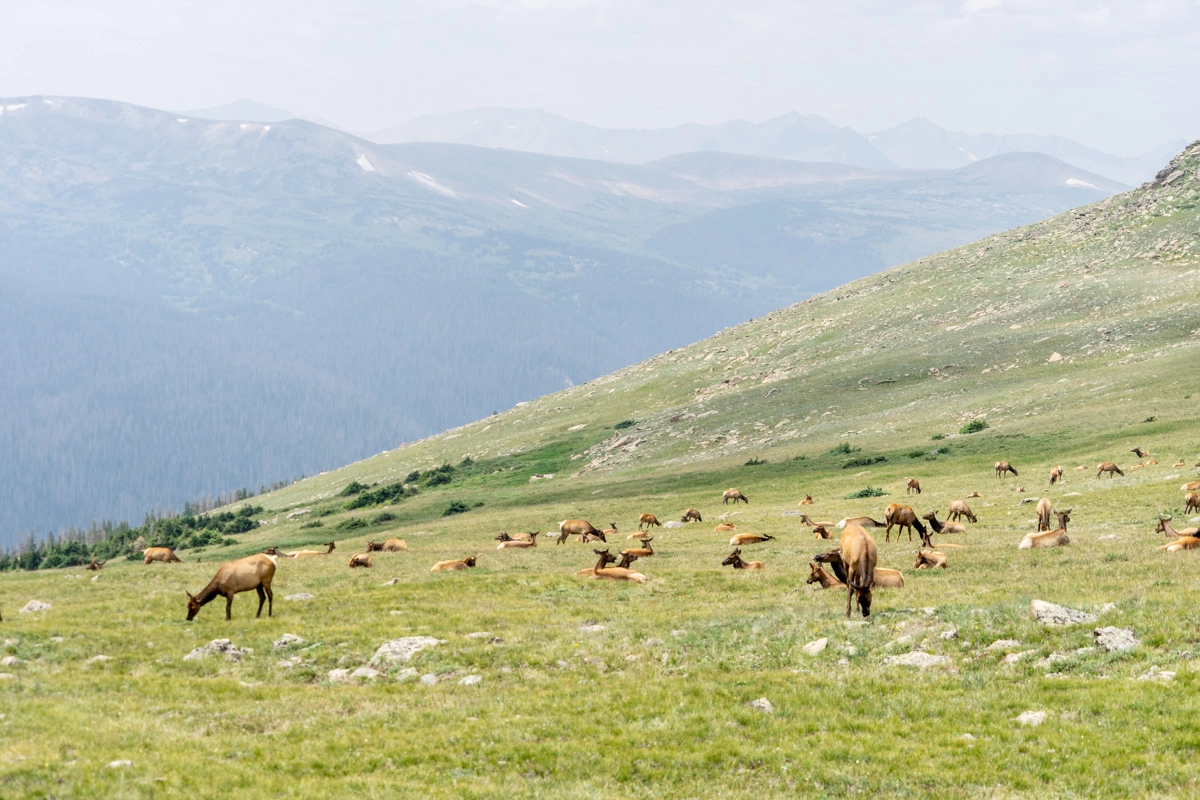 rocky mountain national park colorado road trip itinerary