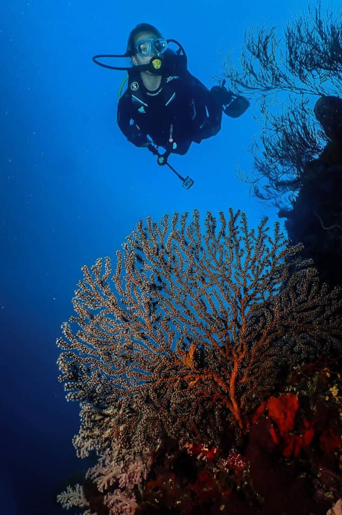 dive spots in the philippines