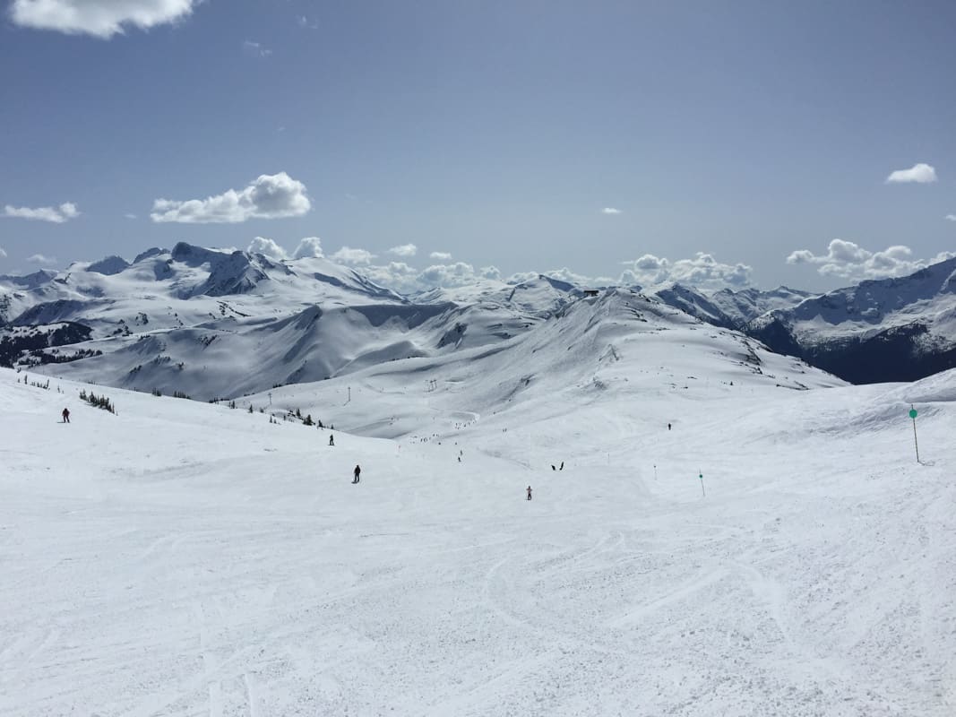 skiiers in whistler canada during winter