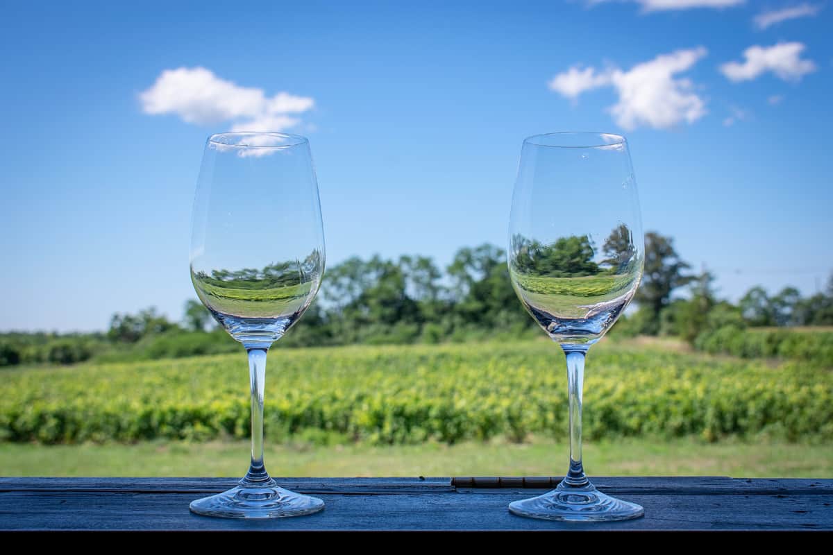 Wine classes a wood bar overlooking a prince Edward county vineyard in the middle of summer
