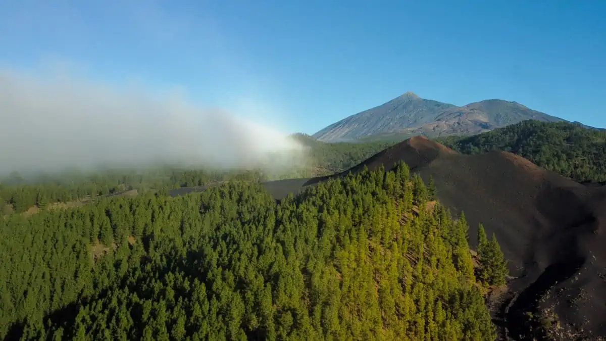 teide nationnal park