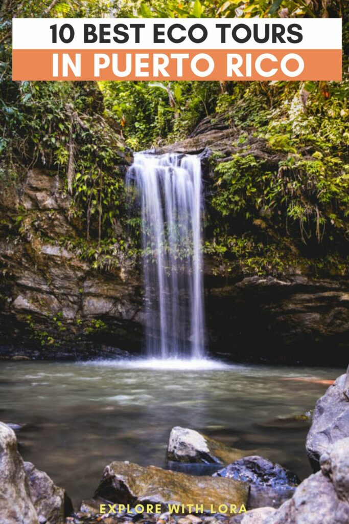 eco tours in Puerto Rico pin