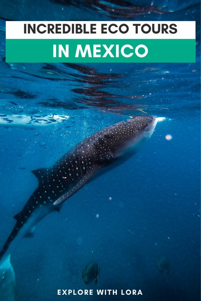 eco tourism in mexico