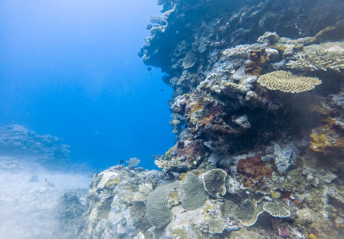 Diving through corals at Koro Sun Resort