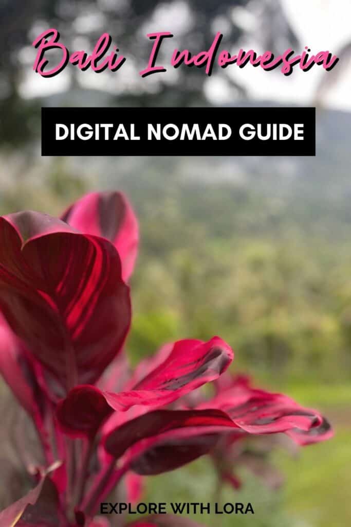 bali digital nomad guide pin