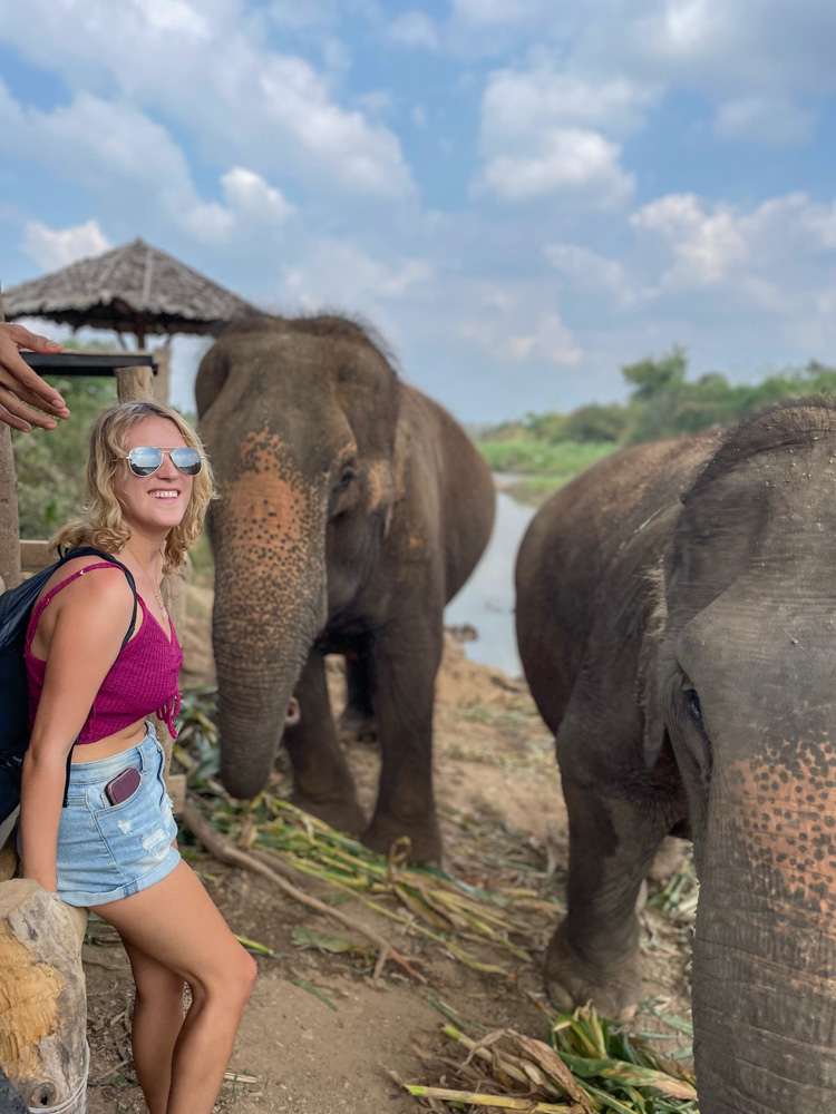 A woman is standing next to two elephants.