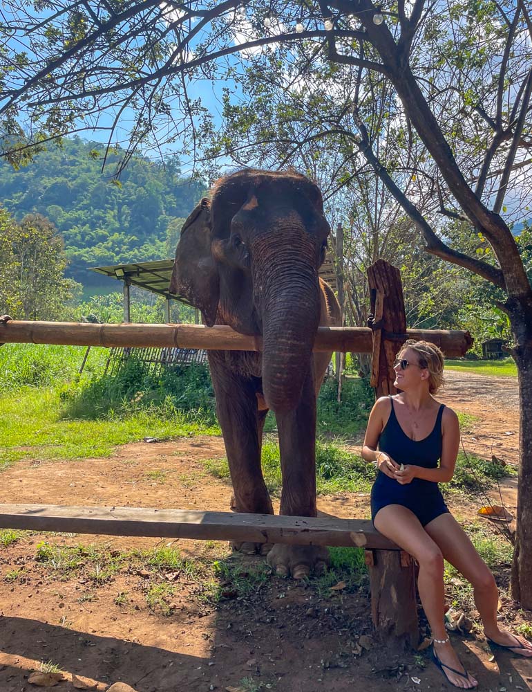 lora with elephant in thailand