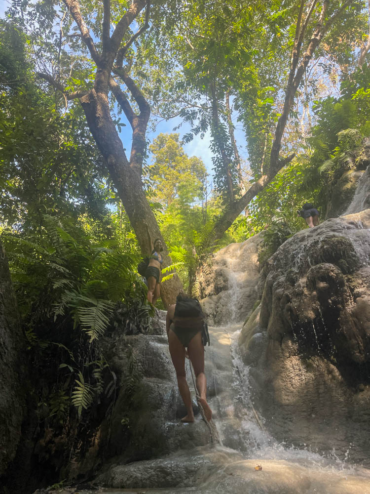 climbing stick waterfalls chiang mai