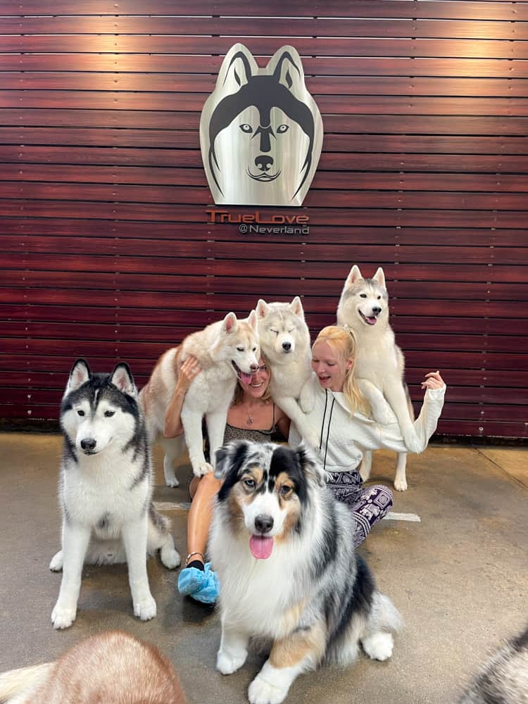 two girls surrounded by huskies