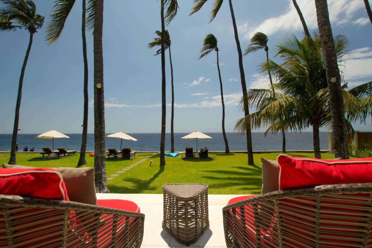 chairs overlooking palm trees and ocean