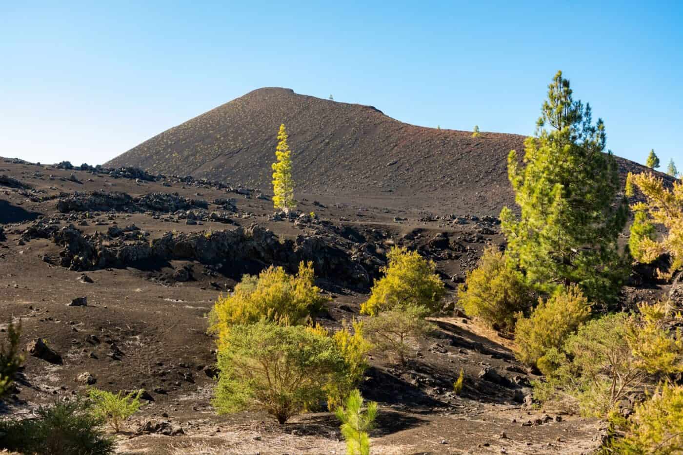 chinyero volcano loop tenerife