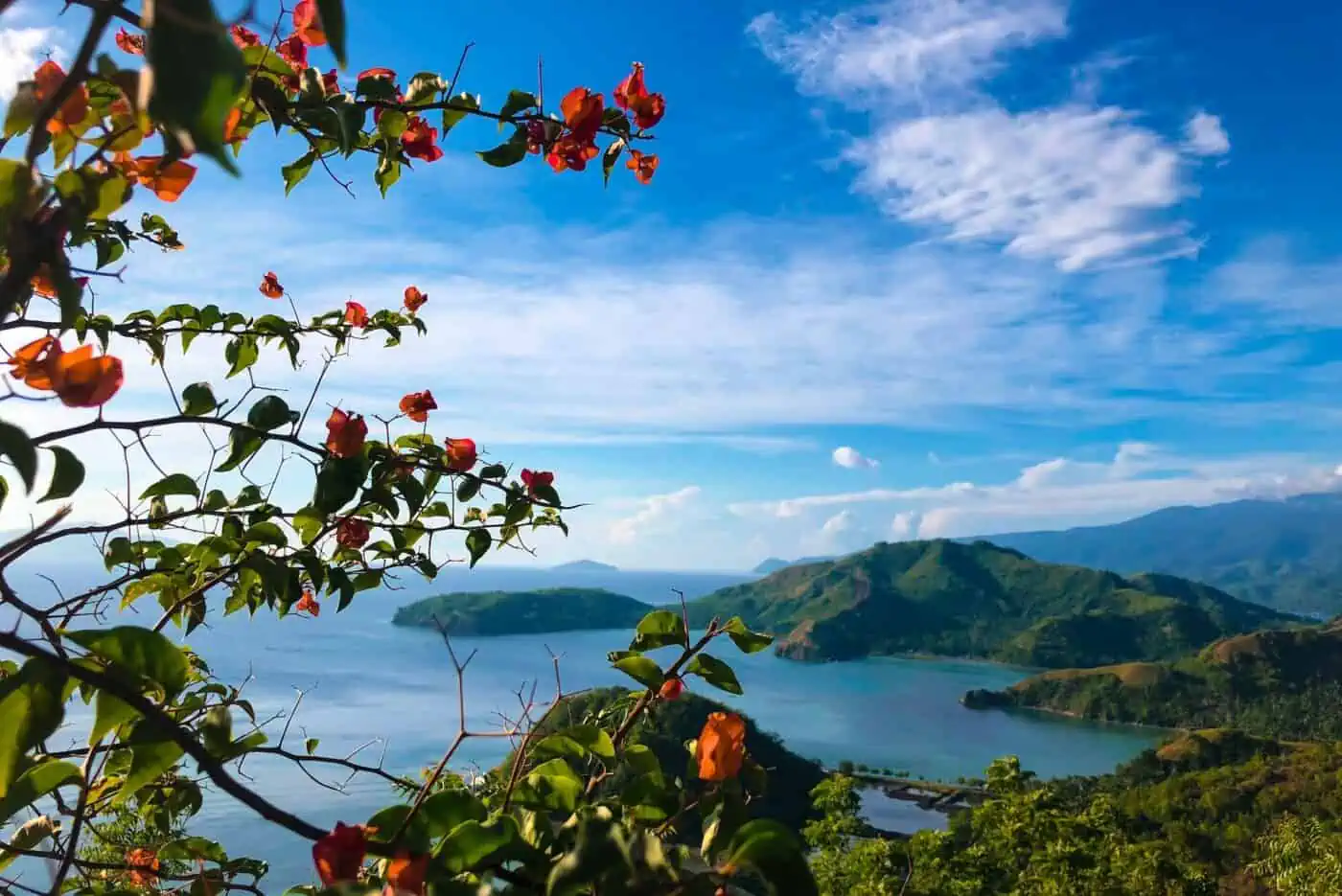 landscapes at Sleeping Dinosaur Island