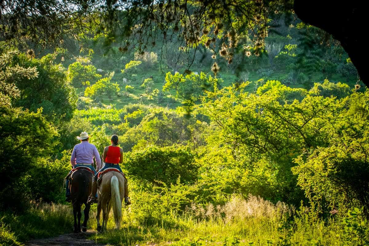 two people horseback riding in the countryside