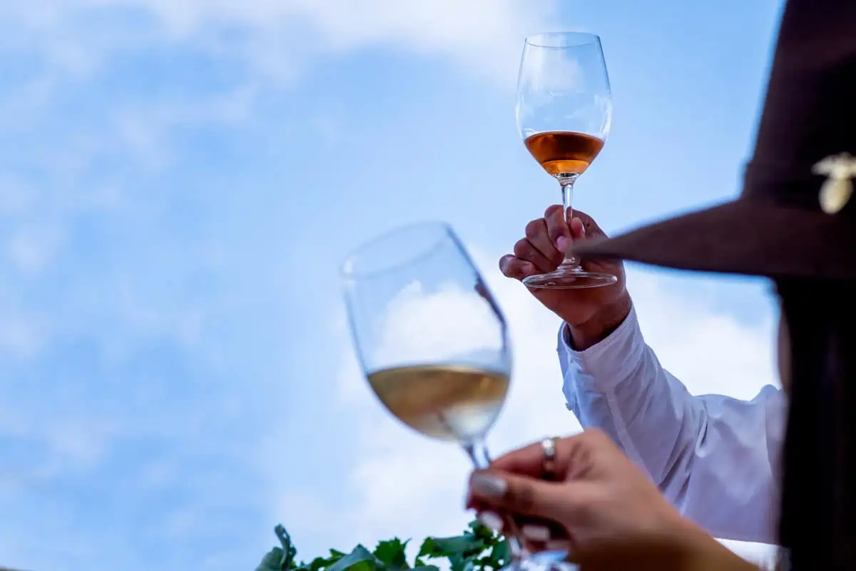 two people holding wine glasses