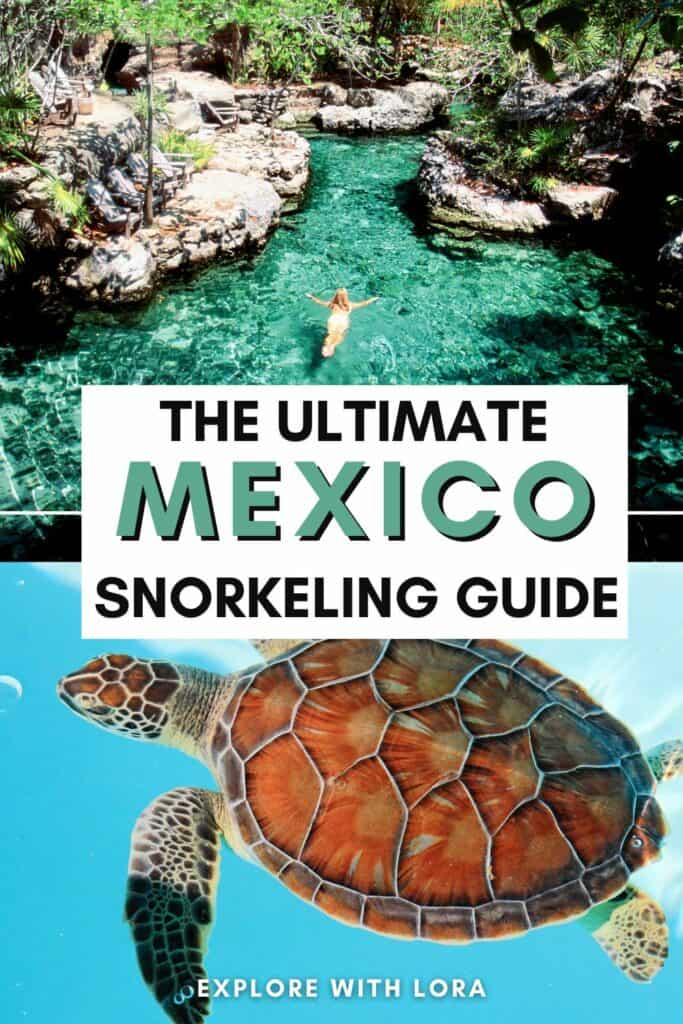 sea turtle on one half a a person snorkeling in a cenote on the other. text overlay reads ultimate mexico snorkeling guide.