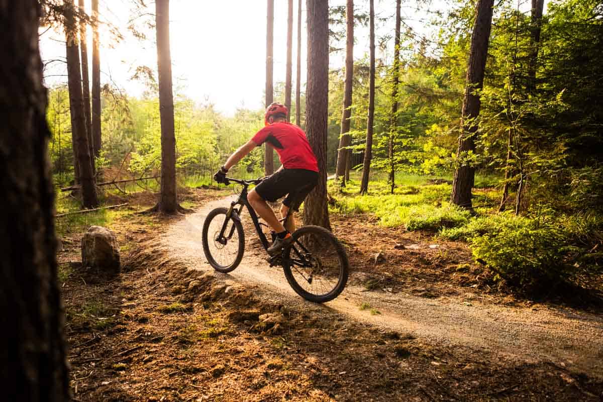 A man riding a mountain bike in the woods.