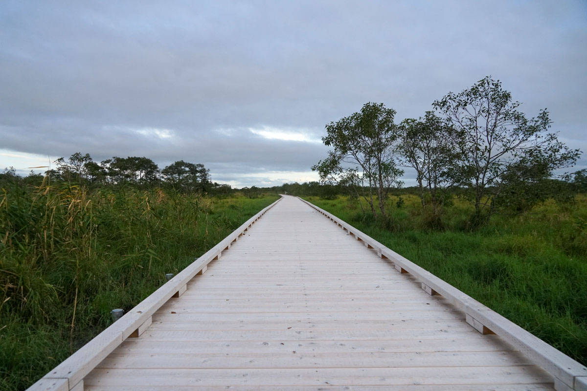 A wooden walkway leading to a grassy area.