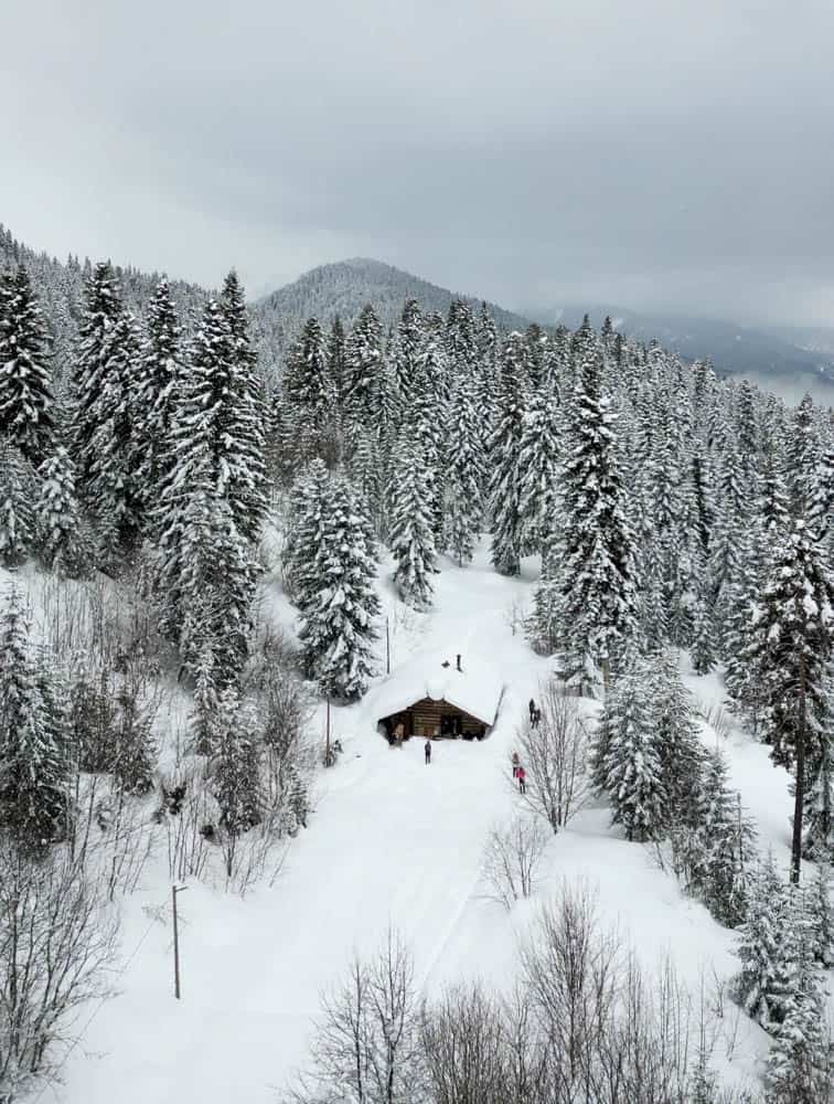 An aerial view of a cabin in the snow.